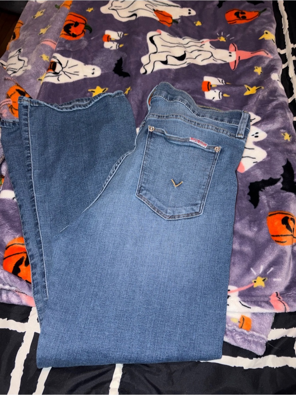 Hudson jeans size 32 Light Wash Jeans with Back Pocket Detail